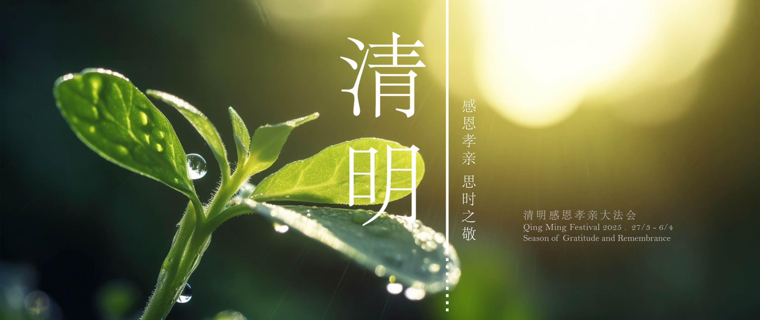 Odoo - Sample 3 for three columns