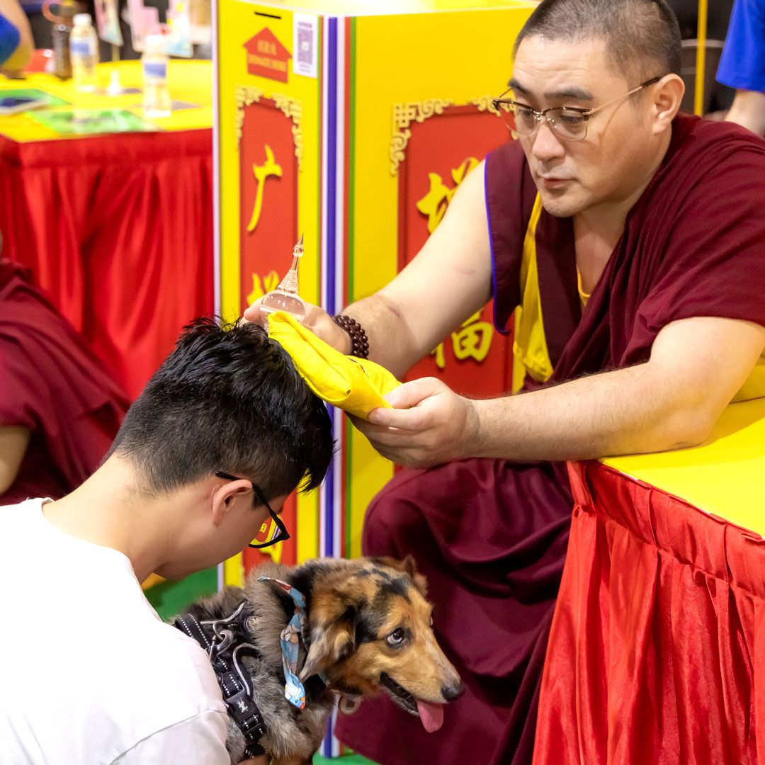 Odoo image and text block