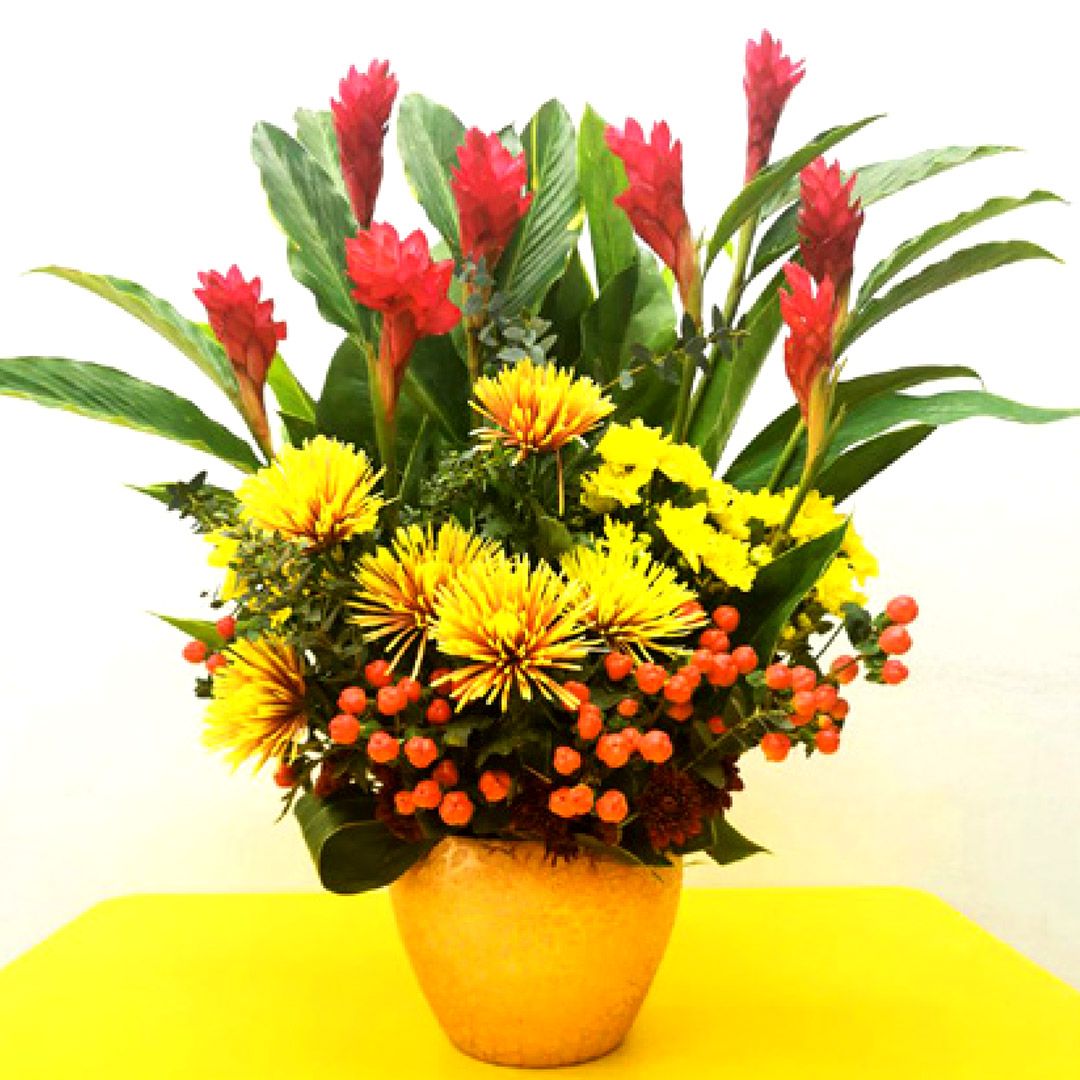 Odoo - Sample 1 for three columns